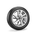 Volkswagen Golf 8 (5H) winterset