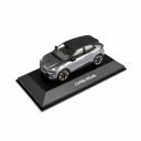 Originele modelauto Cupra Raval 1:43 - grijs