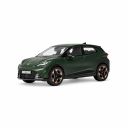 Originele modelauto cupra raval 1:43 - groen