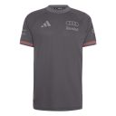 Audi F1 drivers jersey (heren, grijs)