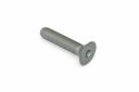 Originele stiftbout (M8X48)
