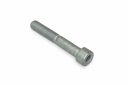 Originele inbusbout (M10X65)