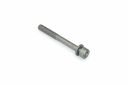Originele inbusbout met inbus- kop (combi) (M6X55)