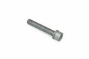 Originele inbusbout met inbus- kop (combi) (M10X60)
