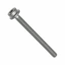 Originele inbuskraagbout met inbuskop (M6X65)