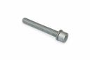 Originele inbusbout met inbus- kop (combi) (M10X70)