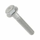 Originele zeskantbout met kraag (M10X60X45)