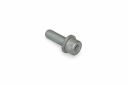 Originele inbusbout met inbus- kop (combi) (M10X30)