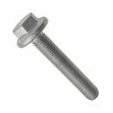 Originele zeskantbout met kraag (M12X75)