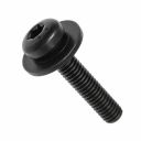 Originele inbus- bout (combi) (M6X30)