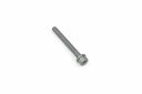 Originele inbusbout met inbus- kop (combi) (M6X55)