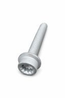Originele inbuskraagbout met poly-inbuskop (M10X70)