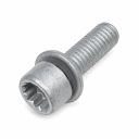 Originele inbusbout met poly- inbuskop (combi) (M8X25)
