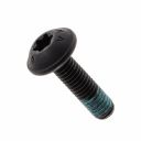 Originele inbusbout met platte kop (M6X22)
