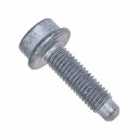 Originele inbuskraagbout met poly-inbuskop (M8X30)