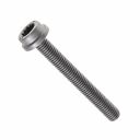 Originele inbuskraagbout met poly-inbuskop (M8X65)