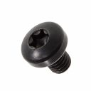 Originele inbusbout met platte kop (M6X8)