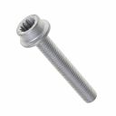 Originele inbusbout met poly-inbuskop (M10X65)