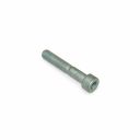 Originele inbusbout met poly-inbuskop (M10X58)