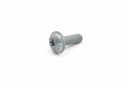 Originele flensbout met inwendige torx (M6X18)