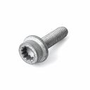 Originele inbuskraagbout met poly-inbuskop (M10X40)