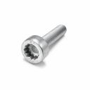 Originele platkopschroef met poly-inbus (M8X35)