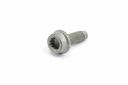 Originele poly-inbusbout (M8X25)