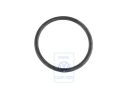 Volkswagen O-ring afsluitdeksel