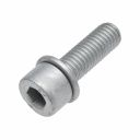 Originele inbusbout met inbus- kop (combi) (M8X25)