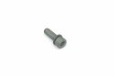 Originele inbusbout met inbus- kop (combi) (M10X30)