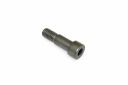 Originele pasbout (M8X8,992X28)