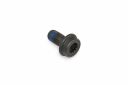 Originele inbusbout (M10X1X19X11)
