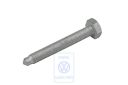 Volkswagen bout motorsteun M10x75