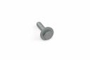 Originele zeskantbout (combi) (M8X30)