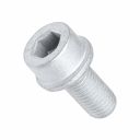Originele inbusbout met inbus- kop (M10X1,25X20)