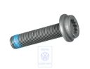 Volkswagen Passat B5 (3B) veeltand-kraagbout vliegwiel M10x1x43 (BDN, BDP)