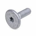 Originele pasbout (M8X10X25)