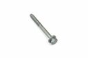 Originele zeskantbout (combi) (M10X105X45)