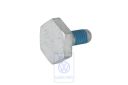 Volkswagen Lupo flensbout omlooprol M8x19 (AHT)