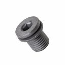 Originele sluitschroef (M14X1,5X17)