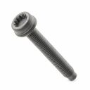 Originele inbusbout met poly- inbuskop (combi) (M8X55)