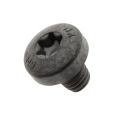 Originele cilinderkopschroef met inwendige torx, zelftappend (M6X7)