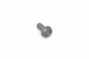Originele platkopschroef met poly-inbus (M10X20)