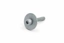 Originele inbus- bout (combi) (M6X35)