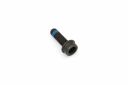 Originele inbus- bout (M10X1X30)