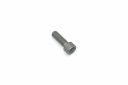 Originele inbus- bout (M8X25)