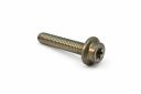 Originele inbusbout (M6X30)