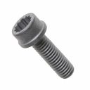 Originele inbusbout met poly- inbuskop (combi) (M8X25)