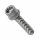 Originele inbusbout met poly- inbuskop (combi) (M8X35)