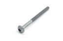 Originele platkopschroef met poly-inbus (M8X115X80)